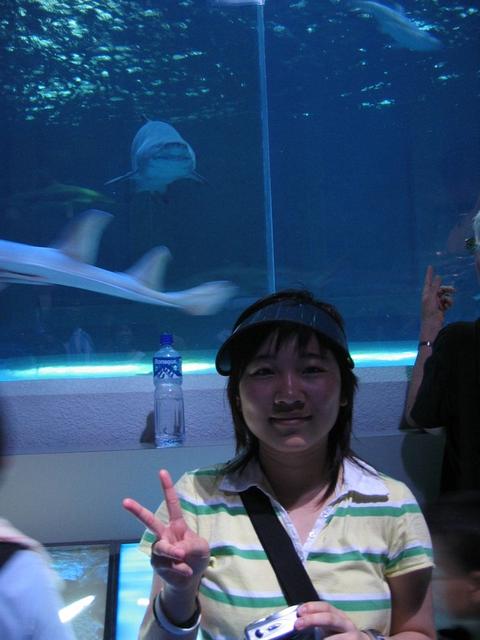 ocean park_0018.jpg