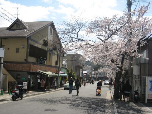 20070405_1018.jpg