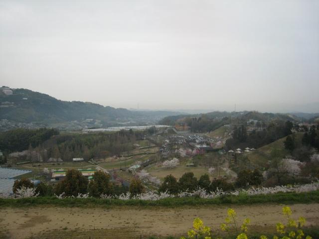 20070407_1205.jpg